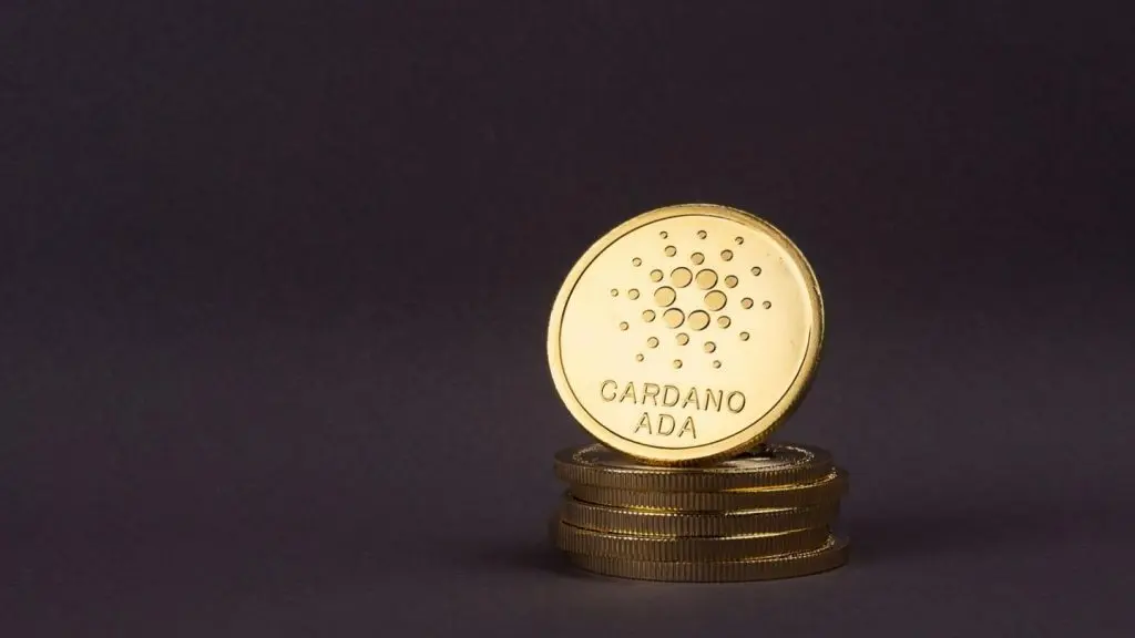 cardano-2-1024x576.jpeg