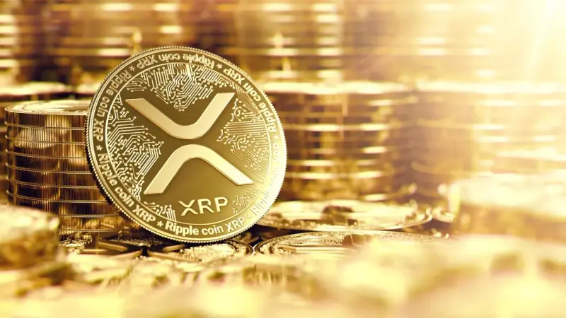 xrp-coins-gID_7-800x450.jpg